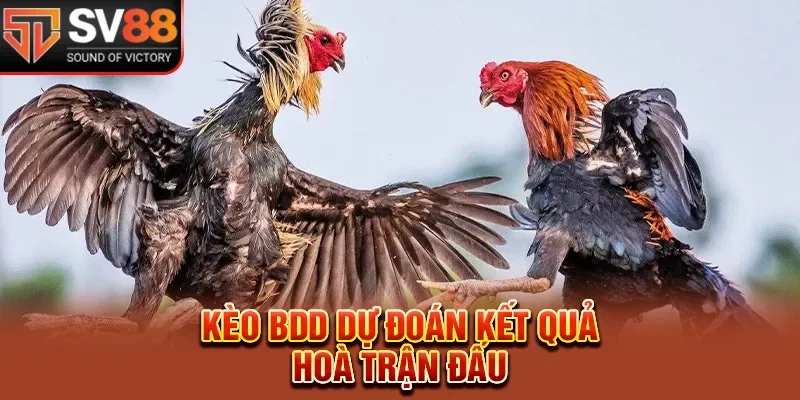 Kèo BDD dự đoán kết quả giải chiến kê hòa trận