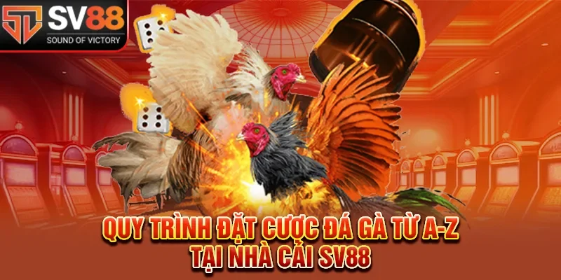 Quy trình đặt cược đá gà từ A-Z tại nhà cái SV88